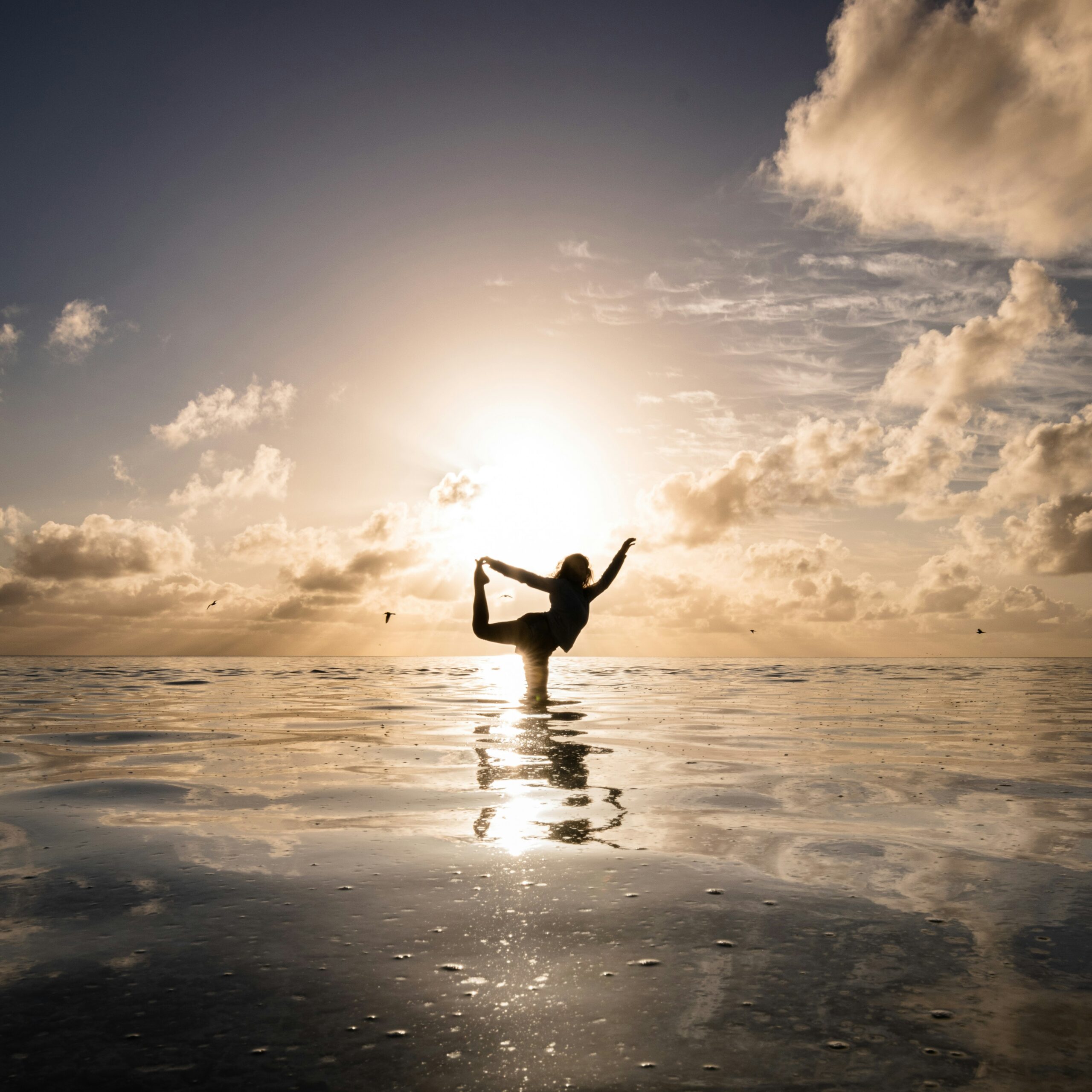 gustavo sanches soojbyfkllo unsplash